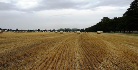 Befejeződött a gabona aratása, Lipót 2016. július 17.-én
