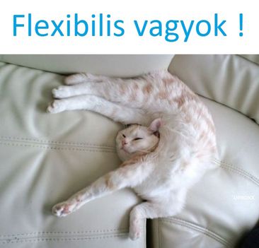 Flexibilis!