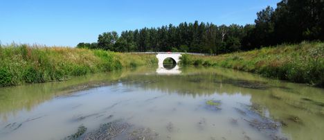 Mosoni-Duna, a Libafarmi holtág rávezető csatornája, Feketeerdő 2016. július 17.-én