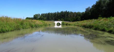 Mosoni-Duna Feketeerdei Libafarmi holtág új vízpóló ága, Feketeerdő, 2016. július 17.-én 3