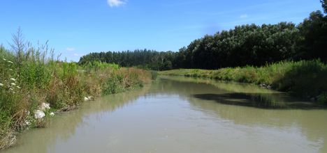 Mosoni-Duna Feketeerdei Libafarmi holtág új vízpóló ága, Feketeerdő, 2016. július 17.-én 6