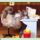 Husvet21_311318_19249_t