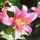 P1080617_311151_68078_t