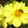 P1080632_311153_49311_t