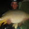 Decs17.40kg