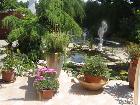 képek 040
