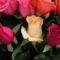 Színes rózsák (30)