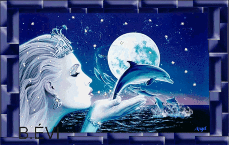 delfin nő társkereső)