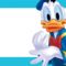 Donald Duck2