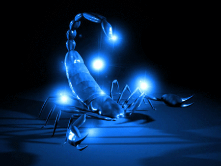 Blue-Scorpion