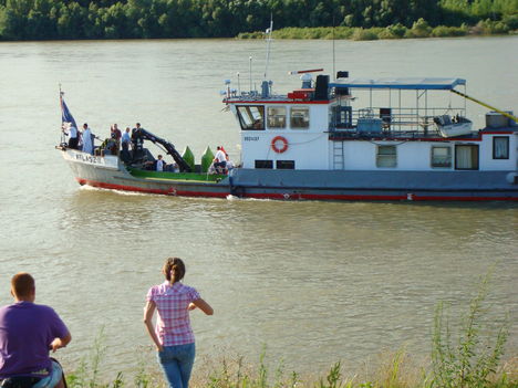 Duna-nap 2009. 31