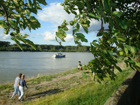 Duna-nap 2009. 32