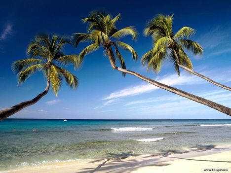Barbados-Nyugat_Indiák