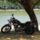 Cimg4087_322948_14230_t