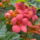Klubvezeto_2-007_322521_42698_t