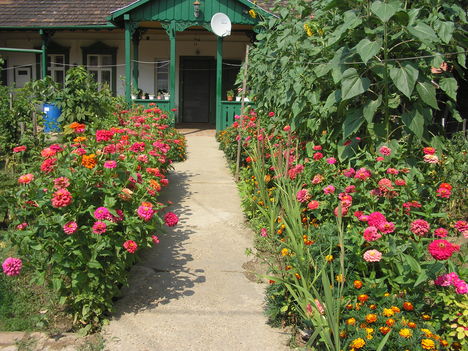 Virágoskertem