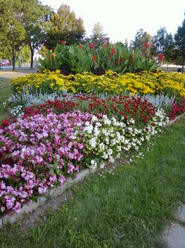 pazar virágágy Budaörsön