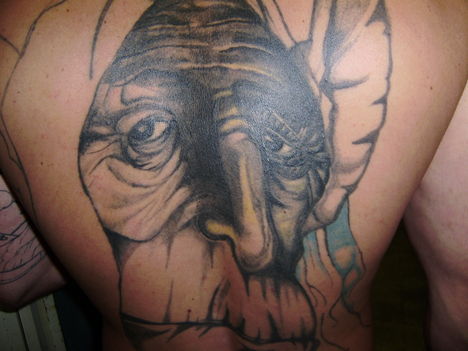 Anubisz tattoo 14