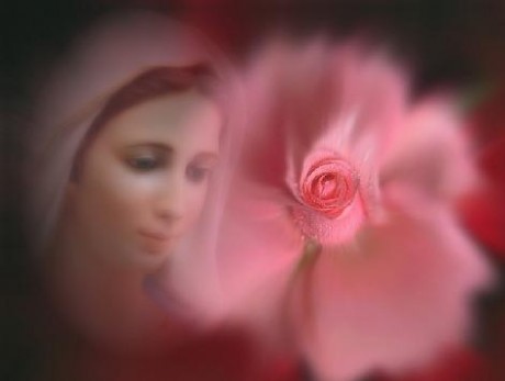 Mária_rózsával