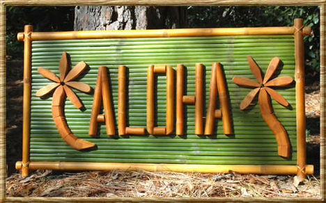 aloha 9