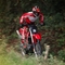 RXV 550 