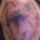 57crop_331508_16301_t