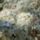 Gyumolcsfak_93_331301_17175_t
