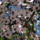 Gyumolcsfak_95_331303_58588_t