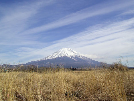 Fuji West View
