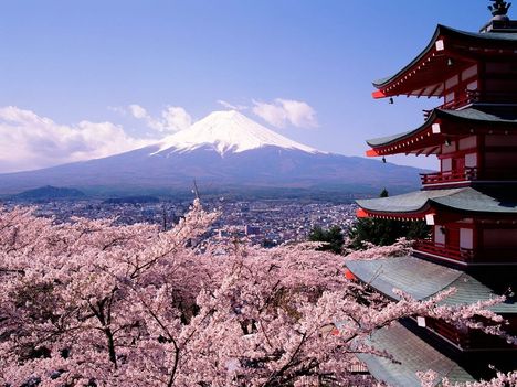 fuji-japan-cherry-blossoms-and-mount
