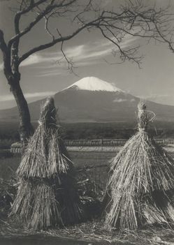 Mount Fuji from the Fields, with Rice Straw Stacks