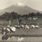 Mount Fuji from the Rice Fields
