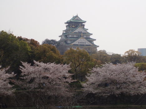Osakajow Sakura