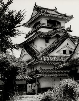The Kochi Castle - Main Tower