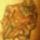 78crop_333747_38450_t