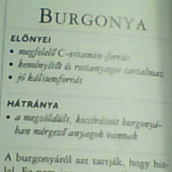 burgonya