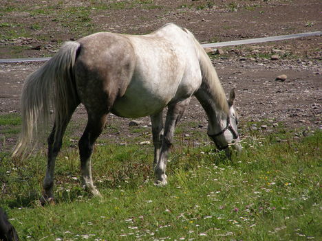 P8073314