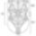 Kpsziche_334148_95918_t