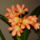 P3300013_334244_30456_t