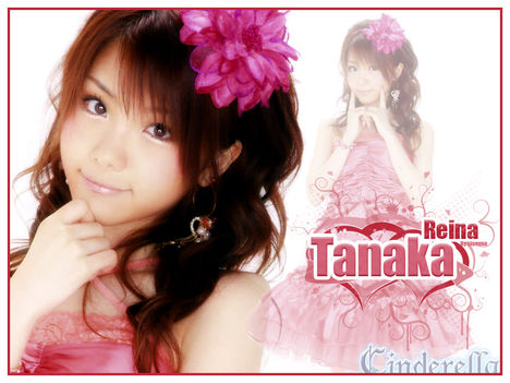 Reina 16