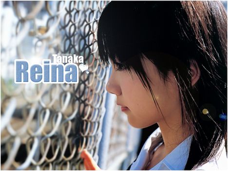 Reina 33
