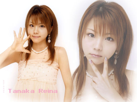 Reina 34