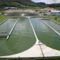 spirulina farm