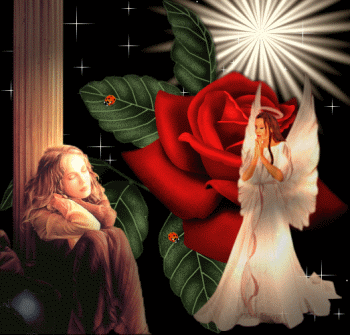 angyal fény rózsa