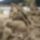 Homokszobrok_6_336571_65682_t
