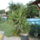 Jukka_336771_24322_t
