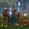 pharaon_lions