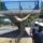 Pihenesre_volt_szuksege_337471_64534_t