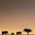 Africa_339775_14165_t