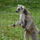 Dsc02258_339600_92260_t